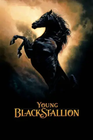 بوستر Young Black Stallion