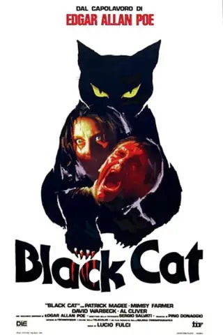 بوستر The Black Cat