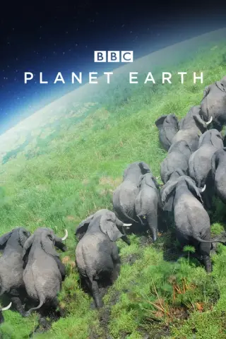 بوستر Planet Earth