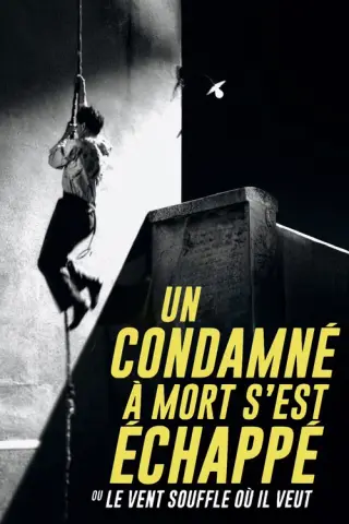 بوستر A Man Escaped