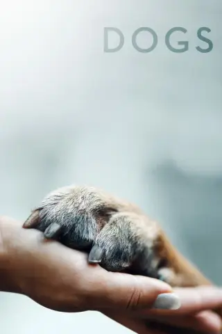 بوستر Dogs