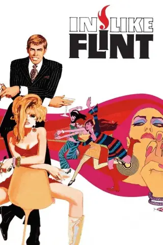 بوستر In Like Flint