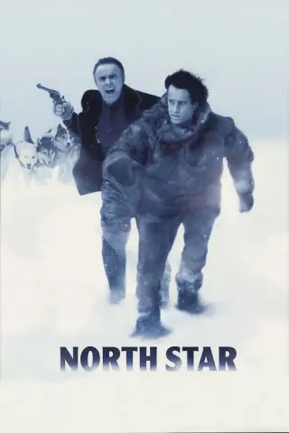 بوستر North Star