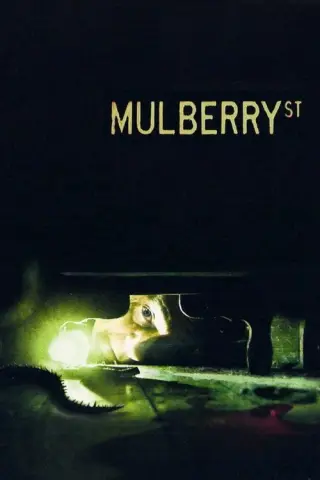 بوستر Mulberry Street