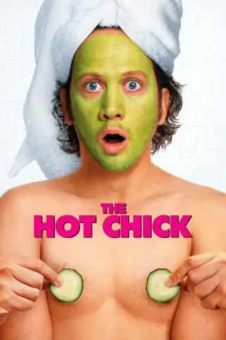 بوستر The Hot Chick