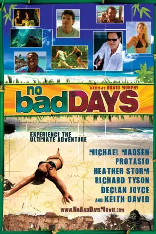بوستر No Bad Days