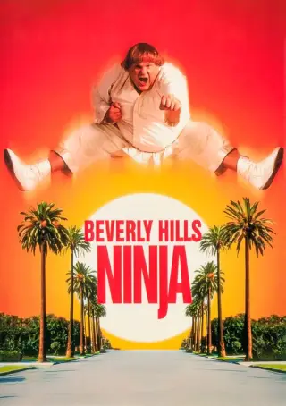 بوستر Beverly Hills Ninja