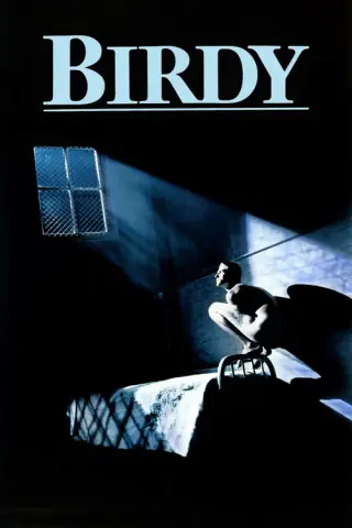 بوستر Birdy