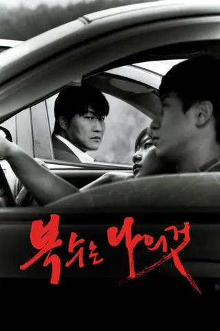 بوستر Sympathy for Mr. Vengeance