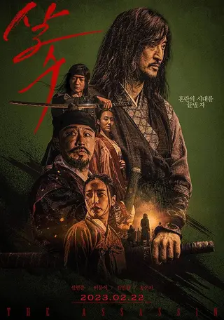 بوستر The Assassin
