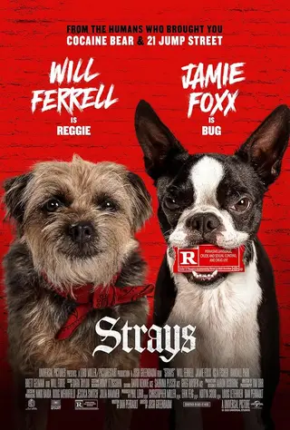 بوستر Strays