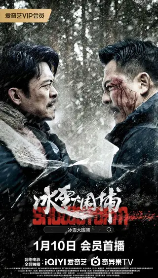 بوستر Snowstorm