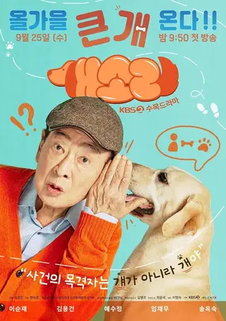 بوستر Dog Knows Everything