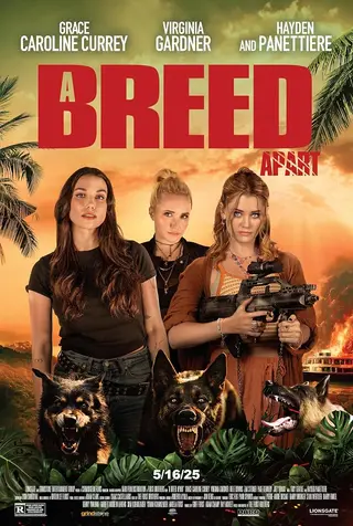 بوستر A Breed Apart