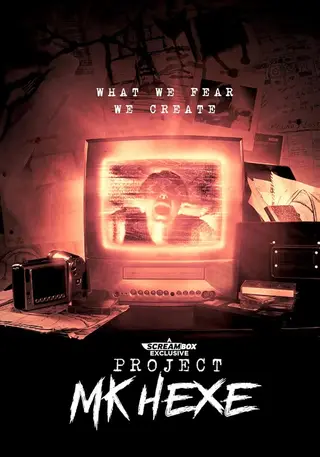 بوستر Project MKHEXE