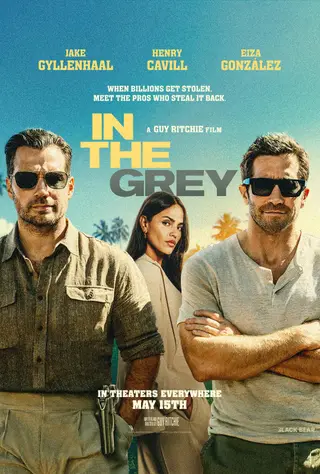 بوستر In the Grey