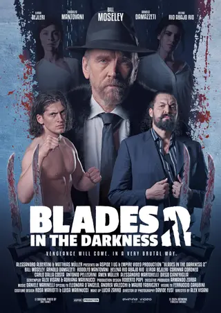 بوستر Blades in the Darkness 2