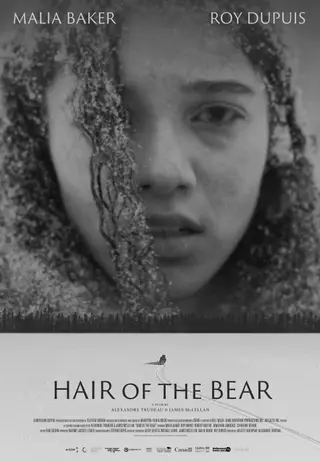 بوستر Hair of the Bear